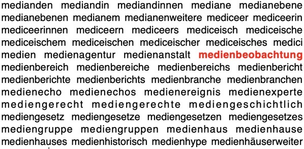 Worliste mit Hervorhebung des Worten medienbeobachtung